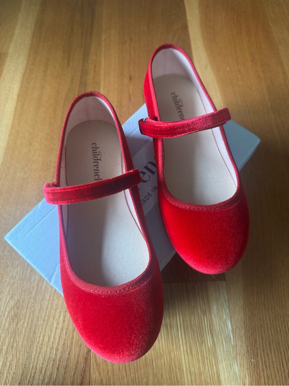 Children's Red Velvet Mary Jane Dress Shoes